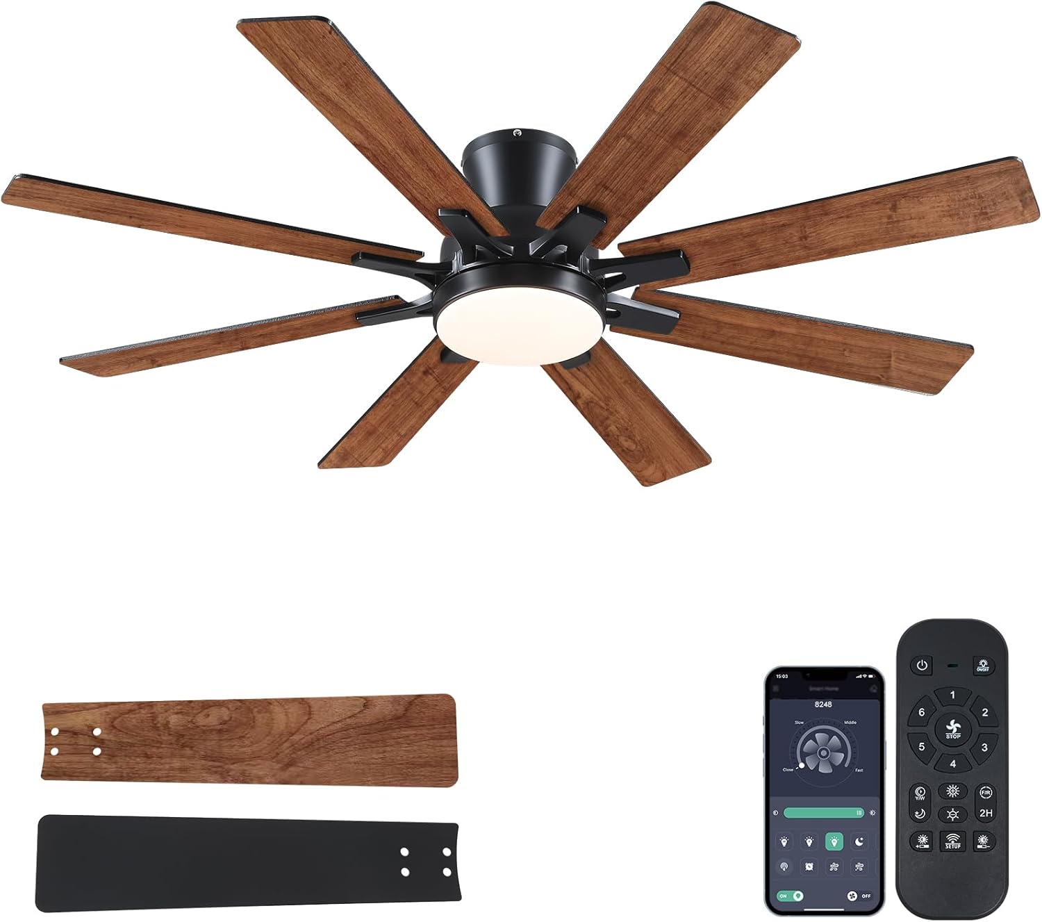 Modern ceiling fan with APP control