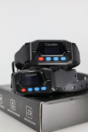 GPS Dog Collar for Outdoor Use