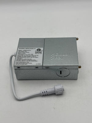 RGBCW Color Changing LED Light