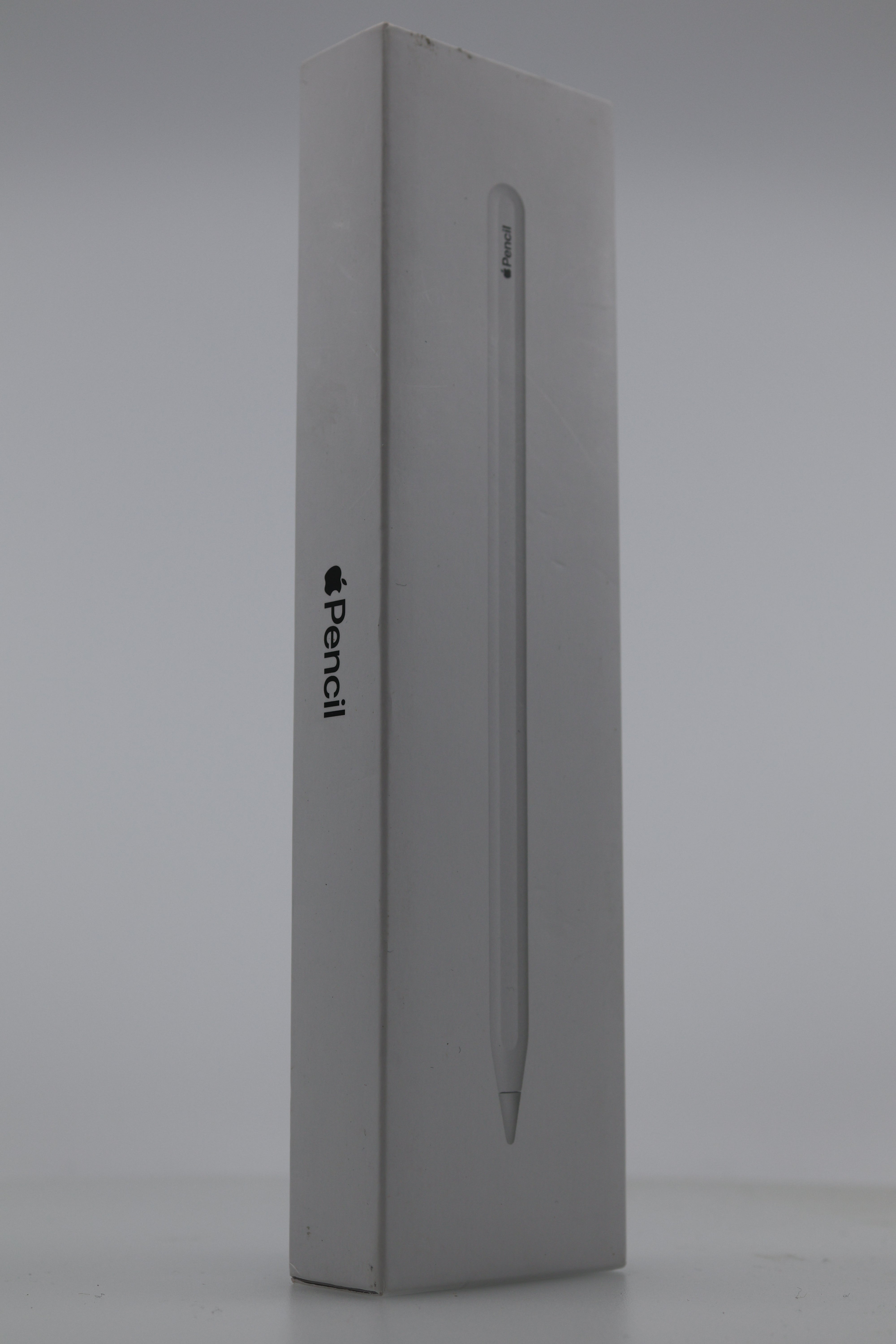 Apple Pencil 2nd Generation with iPad