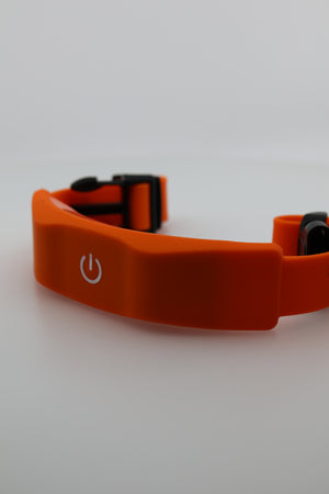 Electric Fence System with Training Collar
