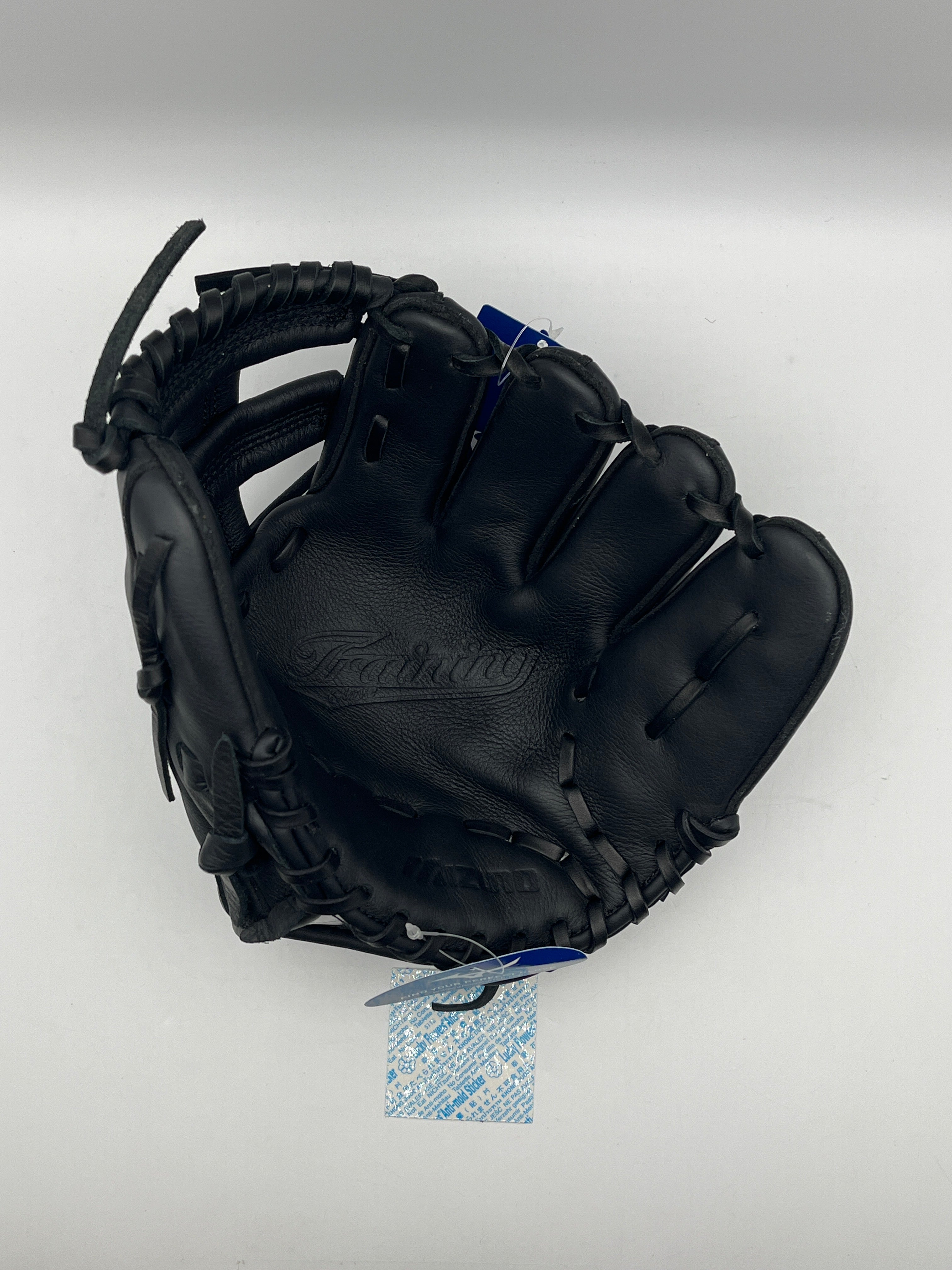 Mizuno GXT-2A Classic Pro Training Glove 9-Inch Right Handed Throw