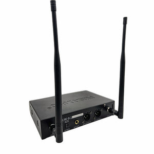 Phenyx Pro PTU-52 receiver rear panel XLR outputs