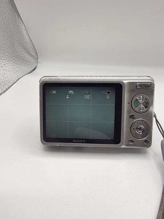 Sony Cybershot DSC-W220 12.1MP Digital Camera