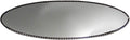 Carrfan Oval Rear View Mirror Auto Dimming Replacement Glass for BMW E46 M3 E39 M5
