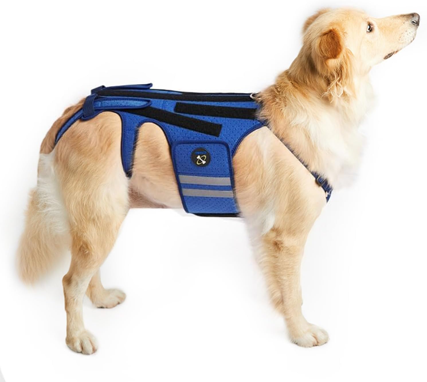 Dog Back Brace for Arthritis