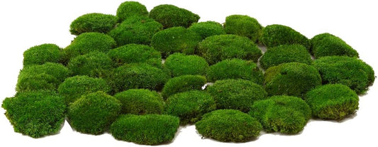 Prefleur Preserved Pole Moss Pillow Bun Cushion