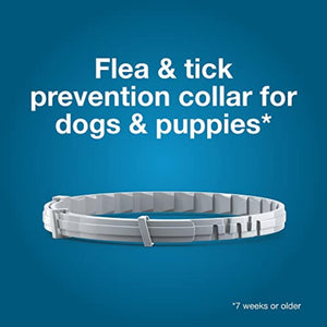 Seresto Large Dog Flea & Tick Collar 2-Pack