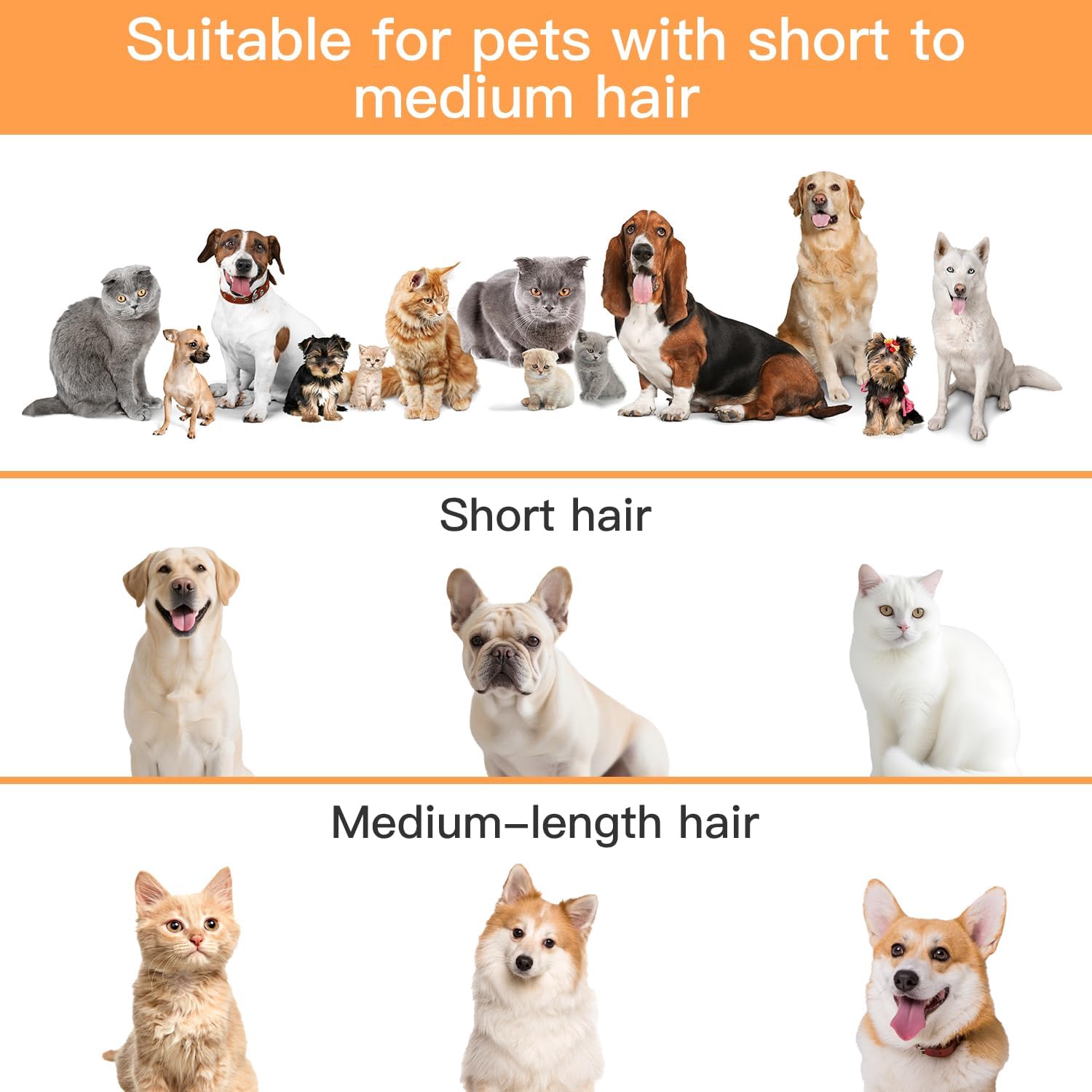 12000Pa Suction Pet Vacuum