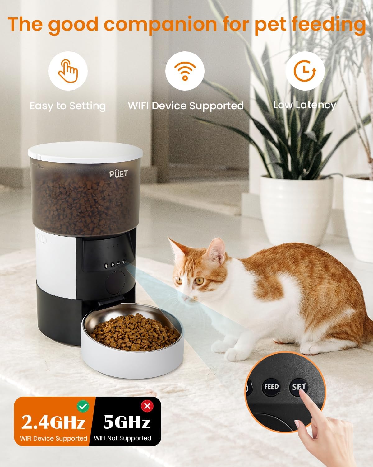 Height Adjustable Pet Feeder