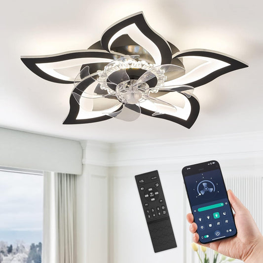 Black Ceiling Fan
