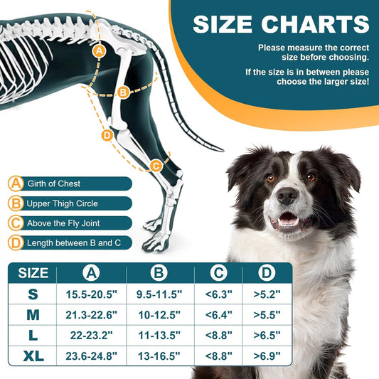 Dollephi Dog Knee Brace for Torn ACL Hind Leg, Hot/Cold Compress for Patella Dislocation or Osteoarthritis, Cruciate Ligament Injuries, for Medium & Large Dogs(Left Leg,XL)