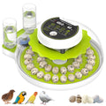 Quail Egg Incubator