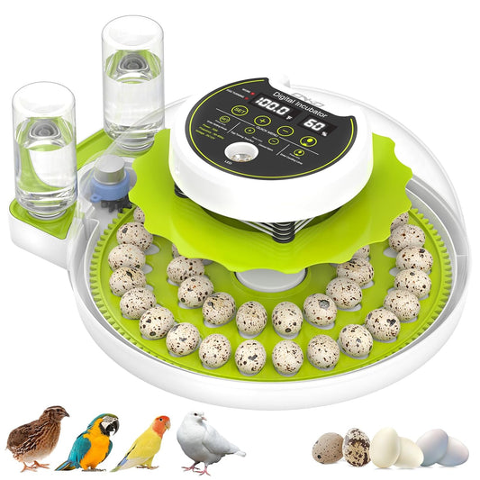 Quail Egg Incubator