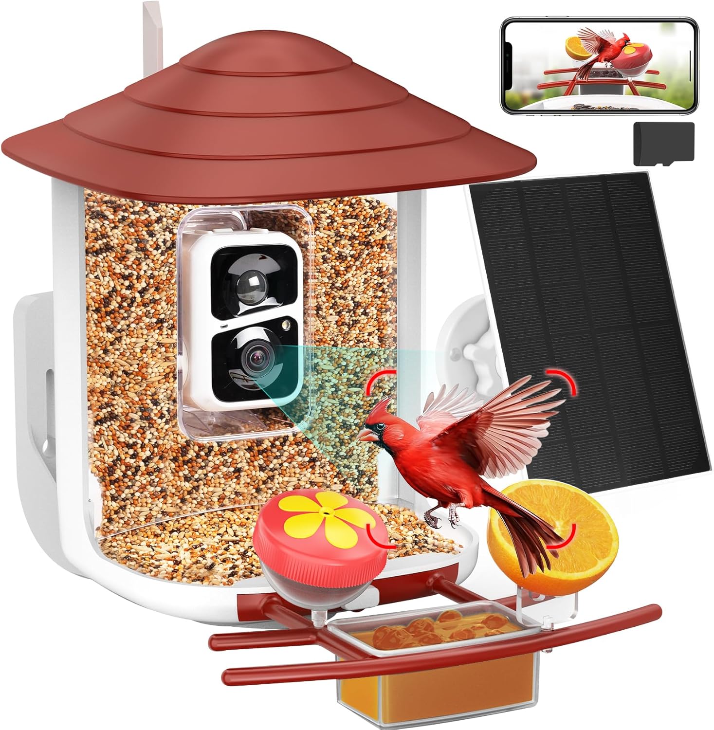 Birdsnap TUC Smart Bird Feeder