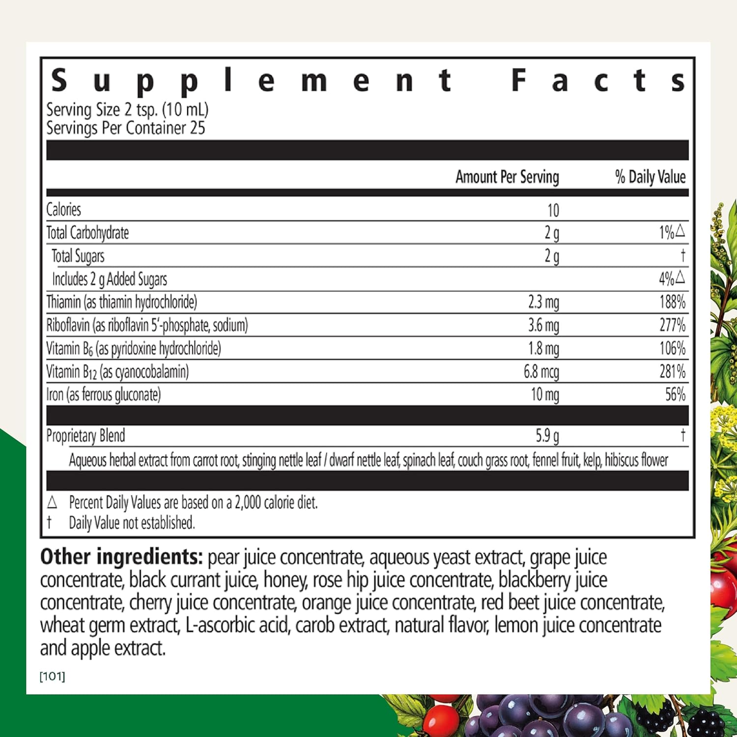 Floradix Iron & Herbs Liquid Herbal Supplement