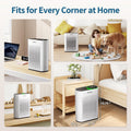 ECOSELF HAP602WF Air Purifier