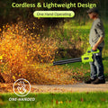 20V Handheld Leaf Blower