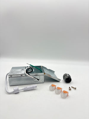 Alexa and Google Home Compatible Recessed Light