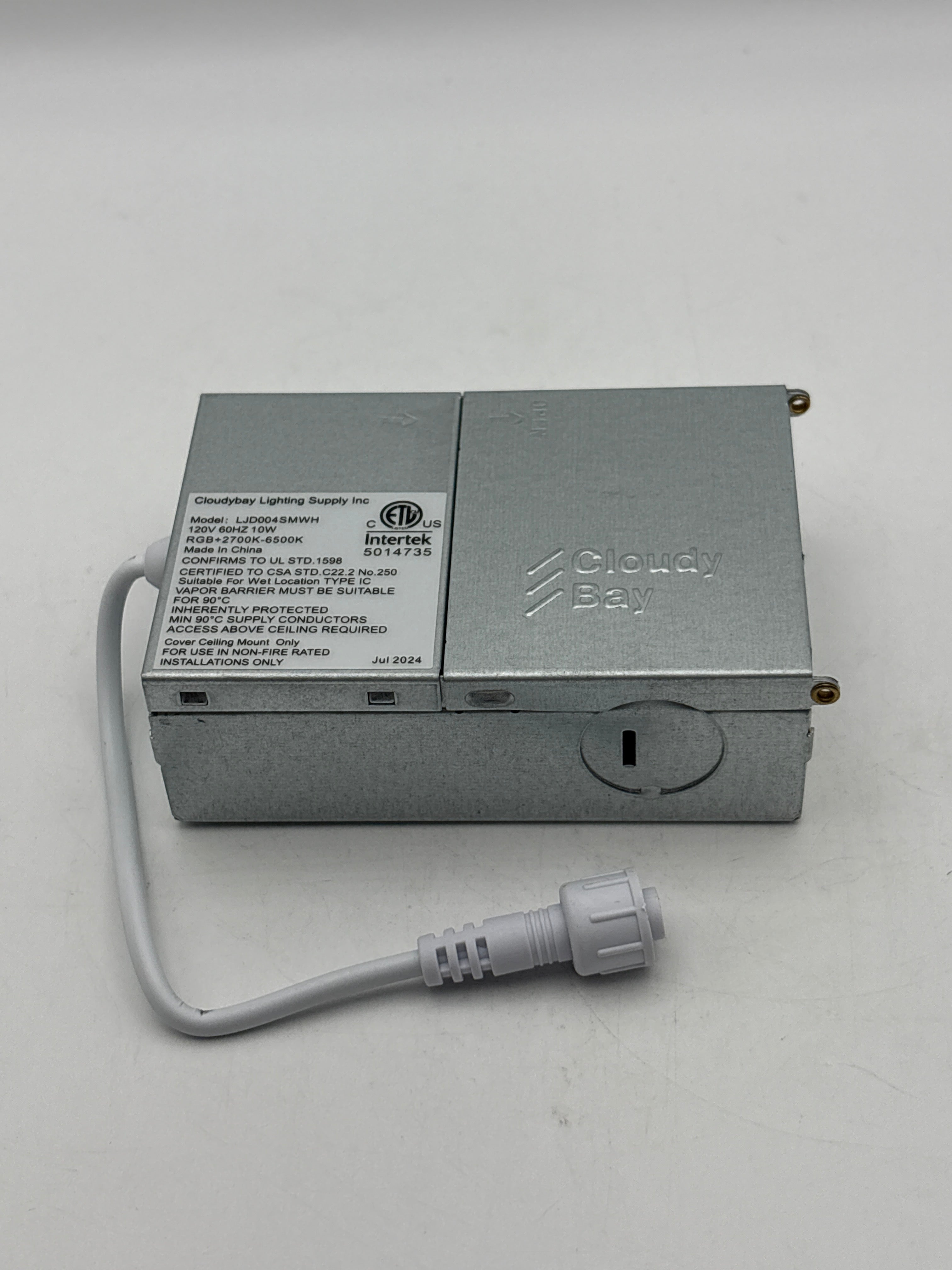 RGBCW Color Changing LED Light