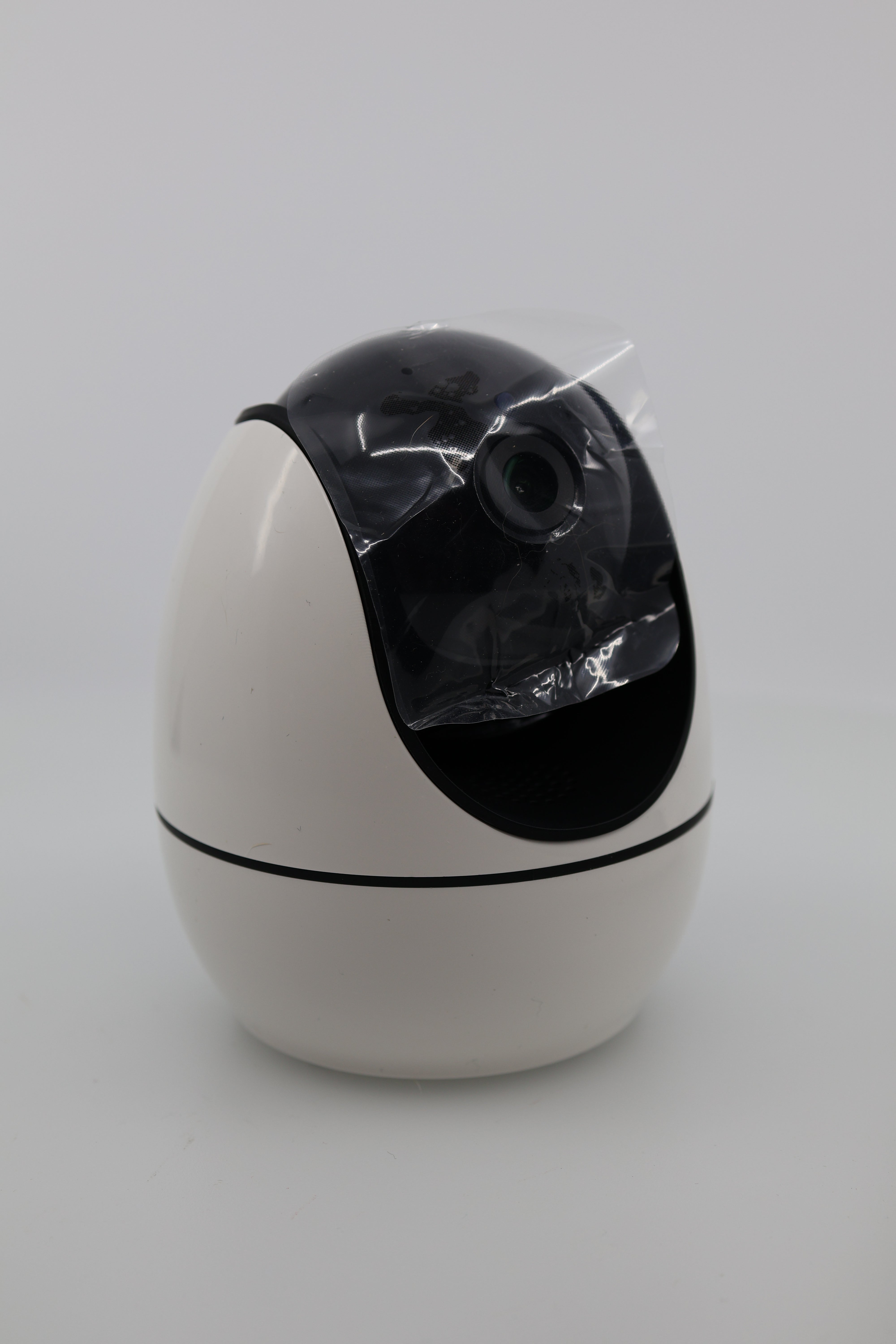 Elderly Monitor with Camera and Audio