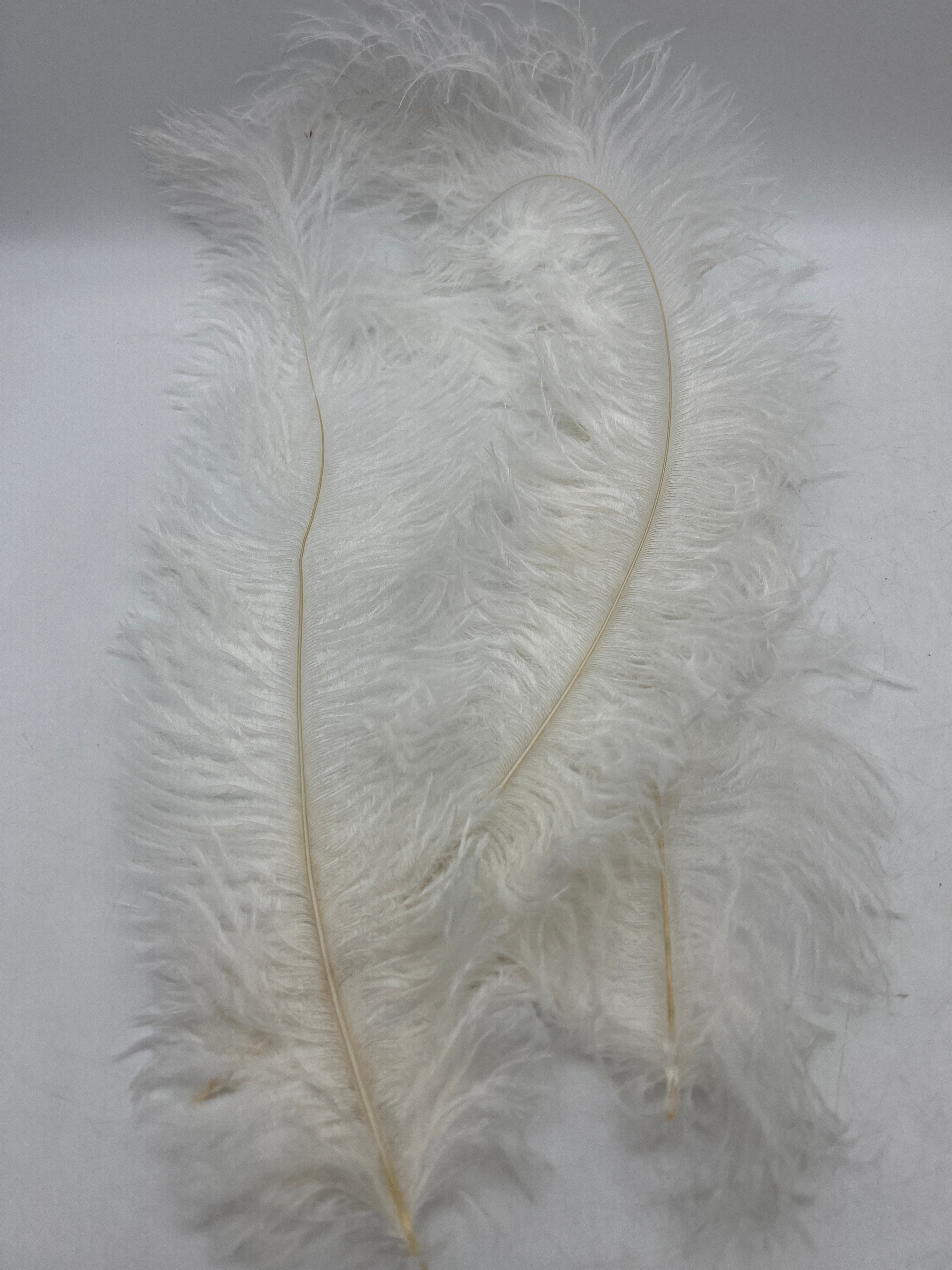 XunYee 100 Pcs Large Natural Ostrich Feathers Plumes Bulk for Centerpiece 16-18 Inch (40-45 Cm) Feathers for DIY Crafts Christmas Wedding Masquerade Party Decorations (White)