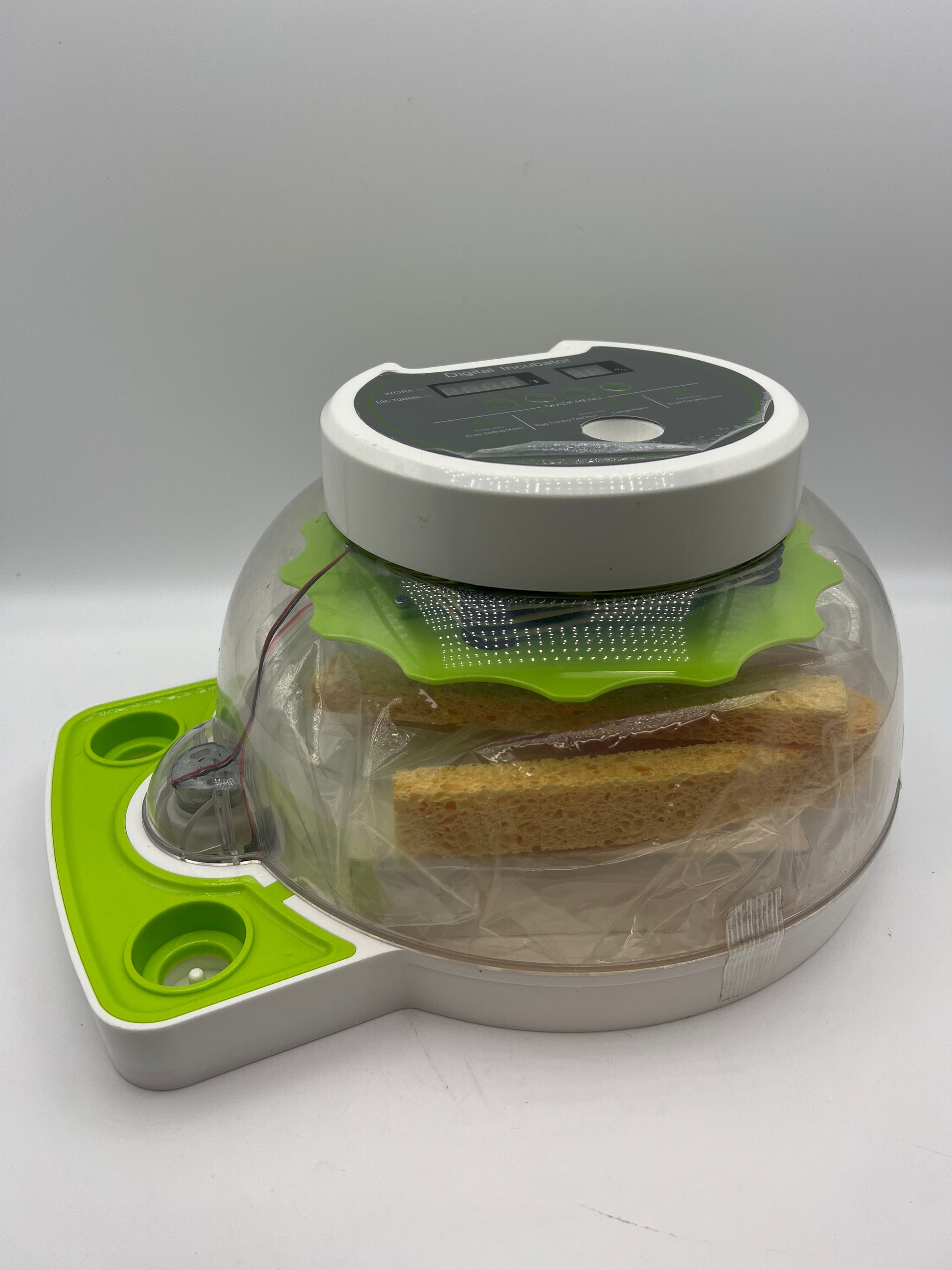Quail Egg Incubator