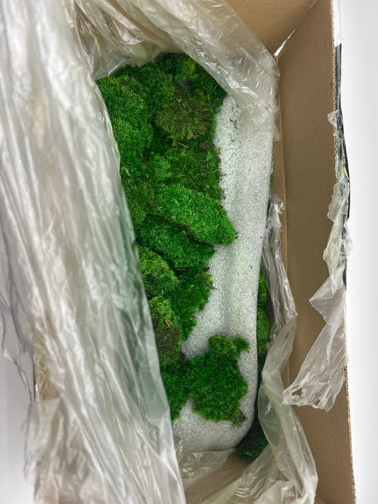 Prefleur Preserved Pole Moss Pillow Bun Cushion