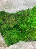 Garden Art and Wall Decor