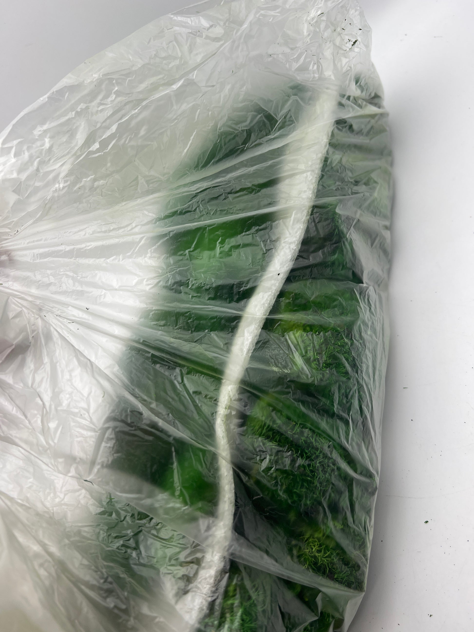 Prefleur Preserved Pole Moss Pillow Bun Cushion
