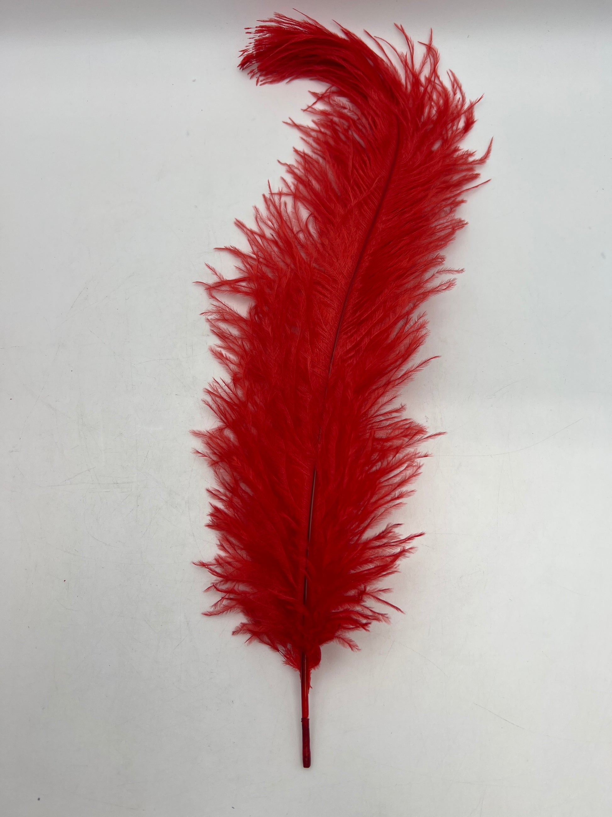 Yuxung 80 Pcs Large Natural Ostrich Feathers Plumes 14-16 Inch Bulk for DIY Crafts Wedding Party Centerpiece Vase (Red)
