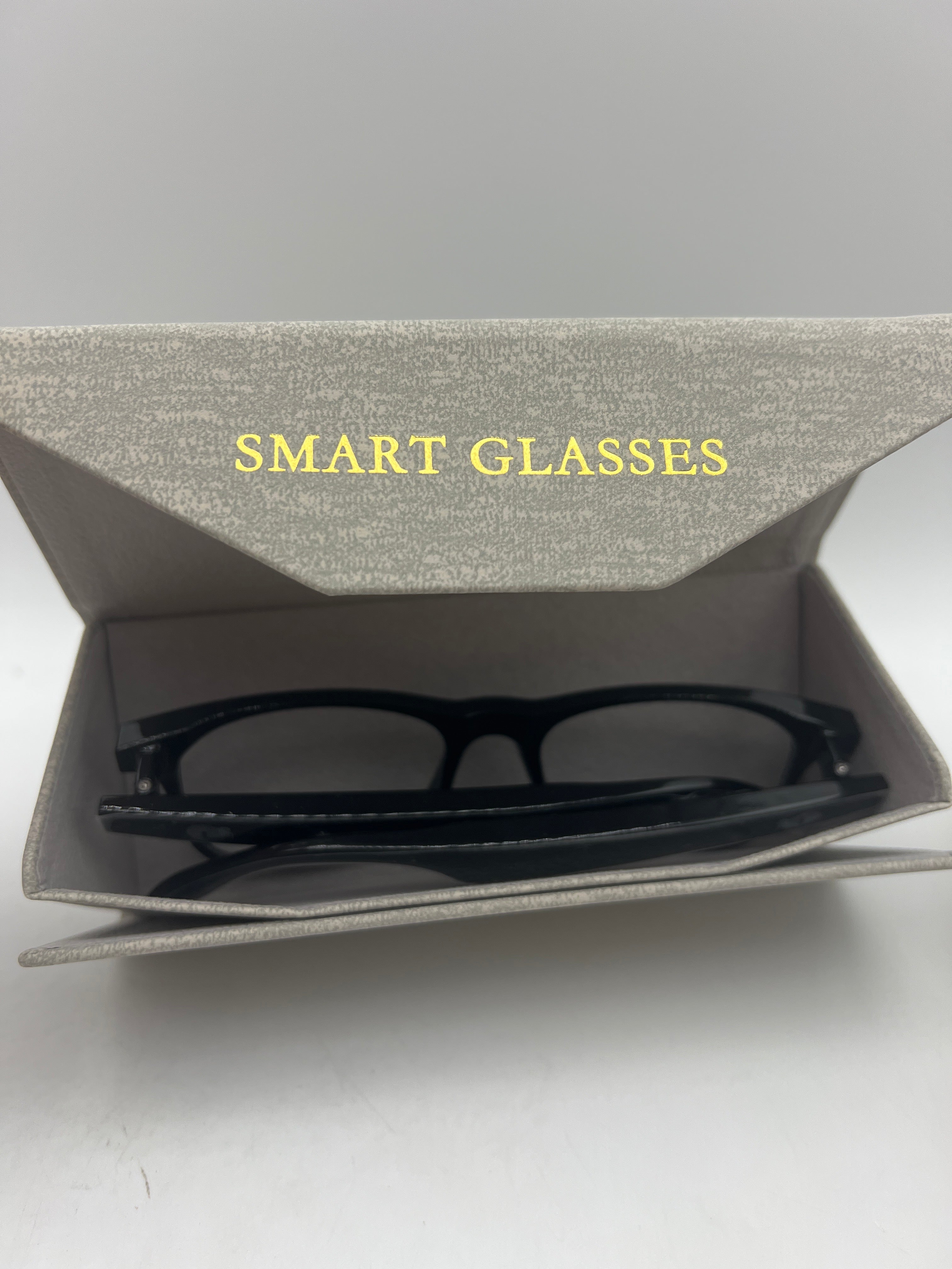AI Smart Glasses