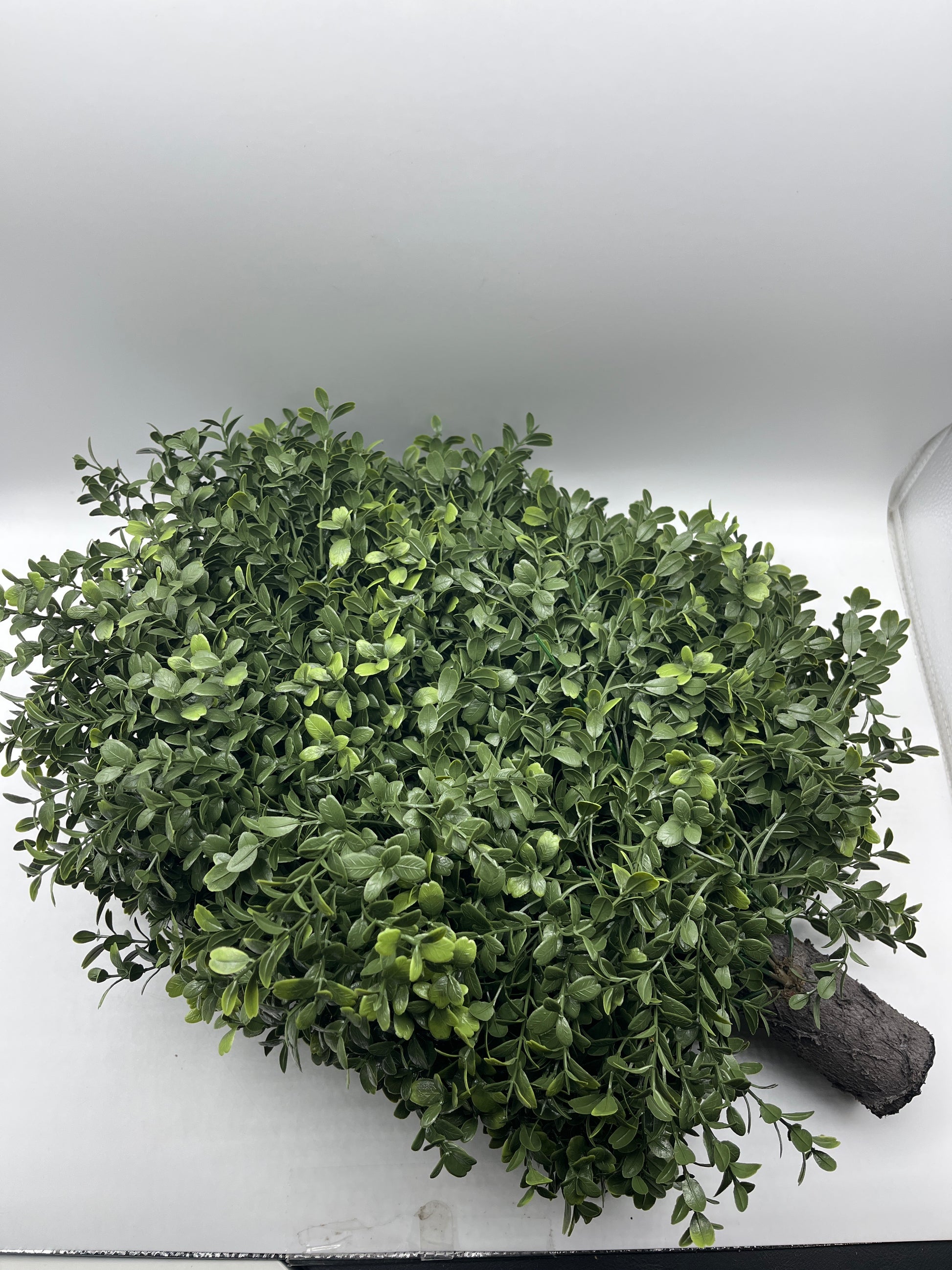 UV-Resistant Topiary