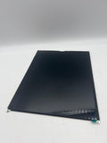 iPad 10.2 LCD screen replacement