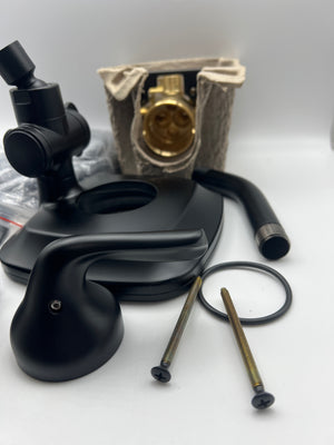 Delta In2ition Matte Black Shower Head