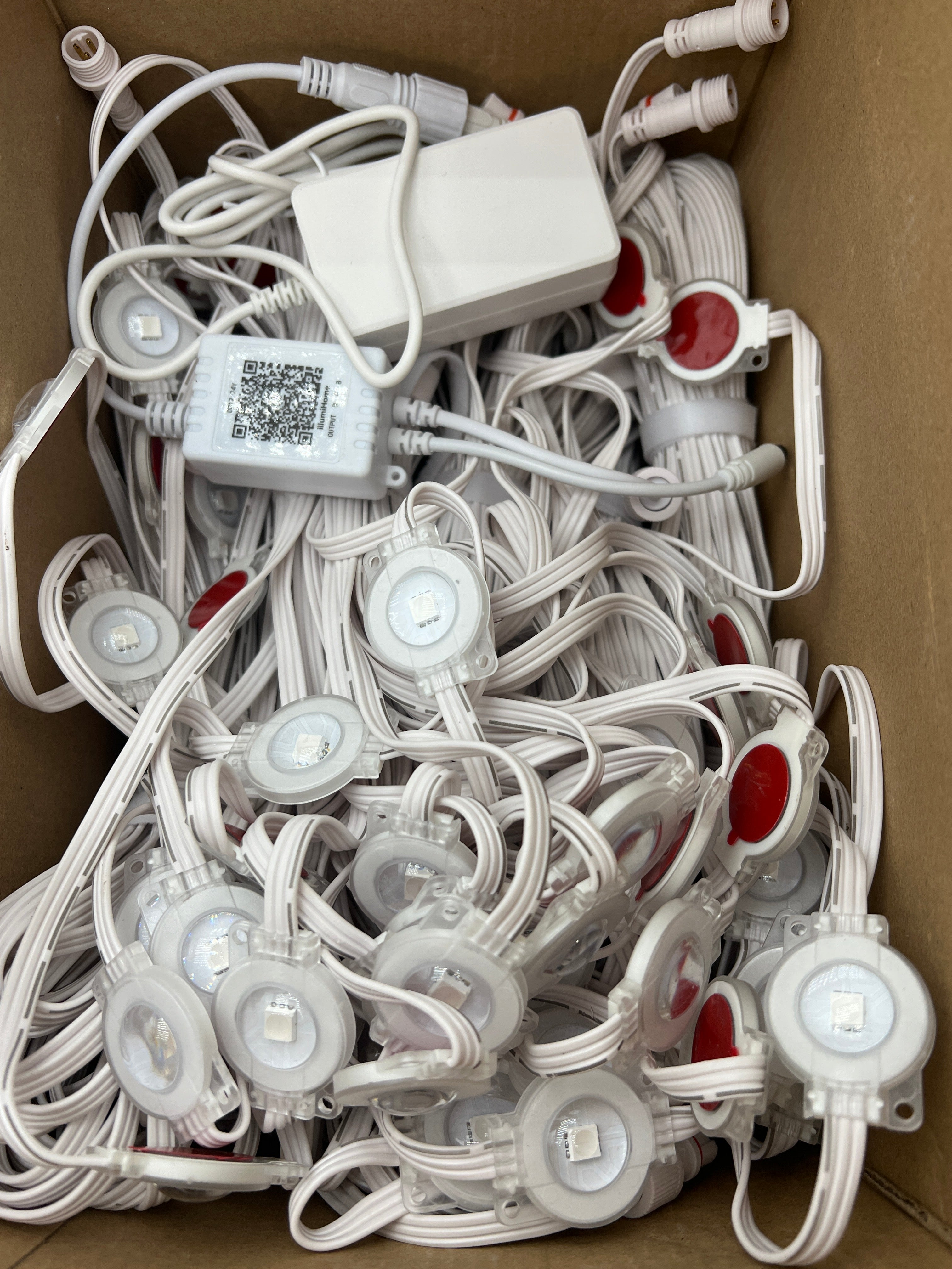 Smart RGB Christmas Lights with App Control