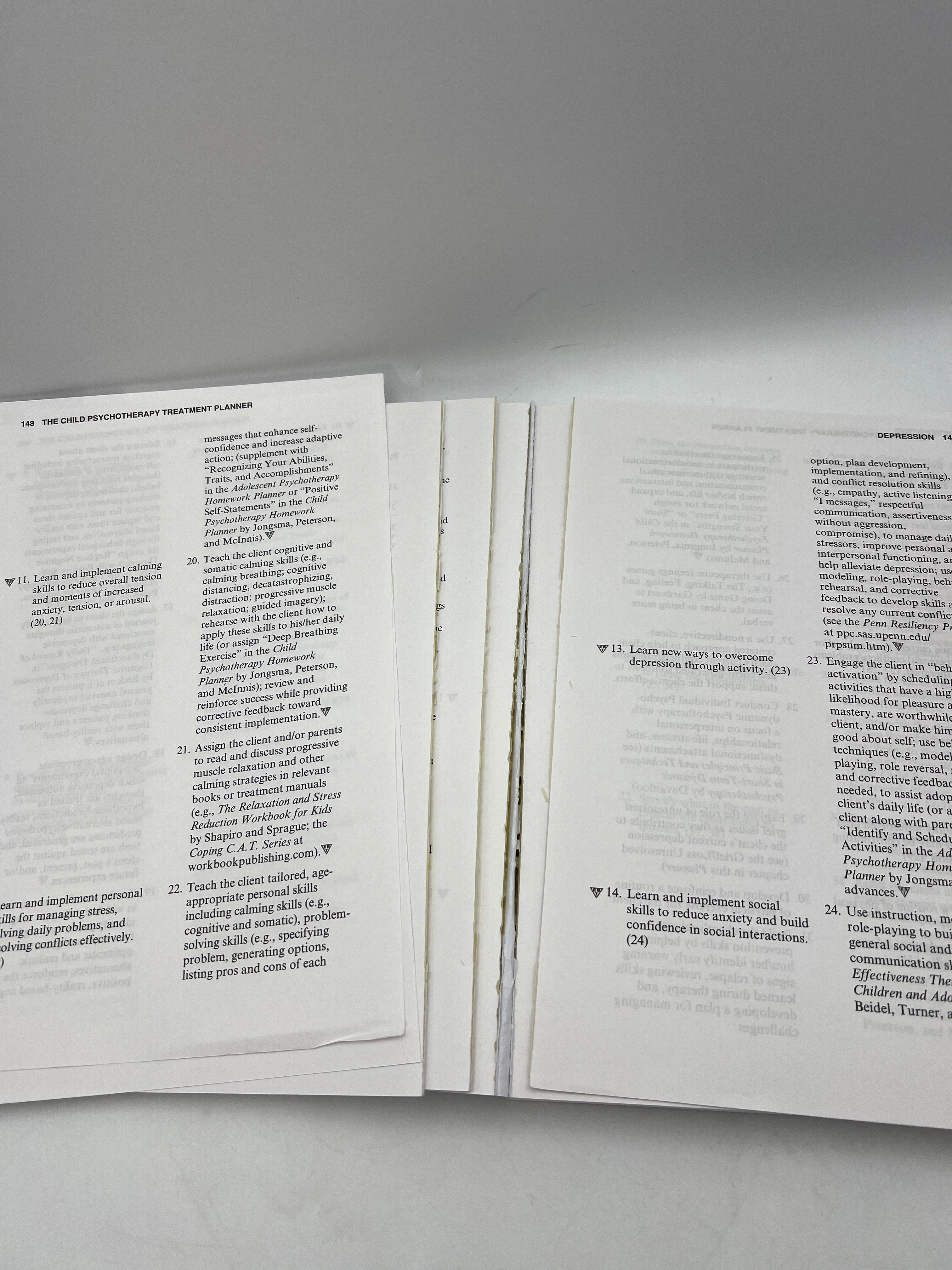 The Child Psychotherapy Treatment Planner book cover