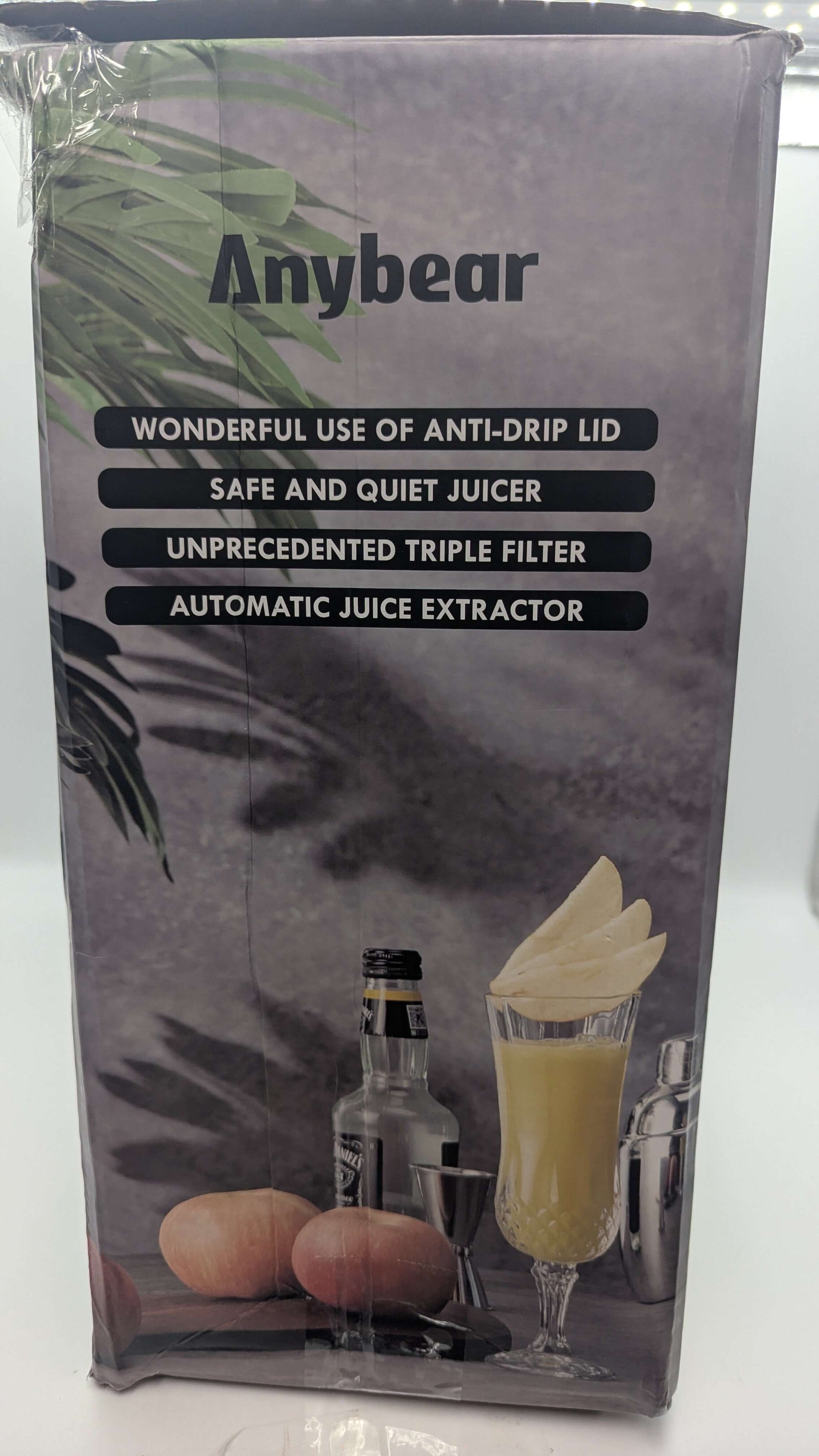 Anybear Cold Press Juicer, 200W Masticating Slow Juicer, Silver