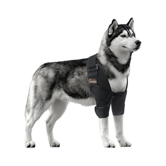 Adjustable Dog Elbow Brace