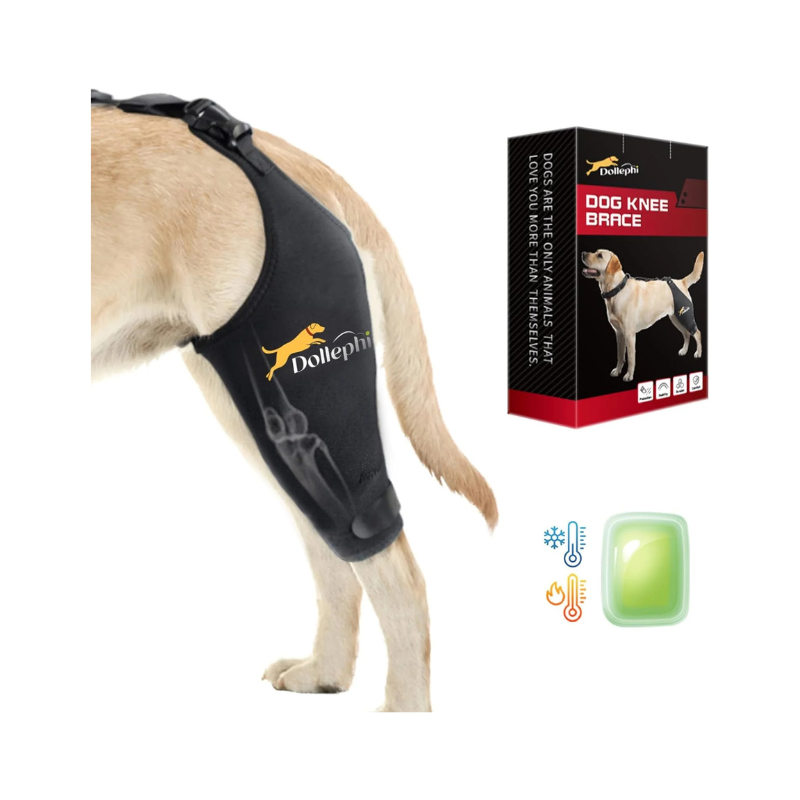 Dollephi Dog Knee Brace for Torn ACL Hind Leg, Hot/Cold Compress for Patella Dislocation or Osteoarthritis, Cruciate Ligament Injuries, for Medium & Large Dogs(Left Leg,XL)