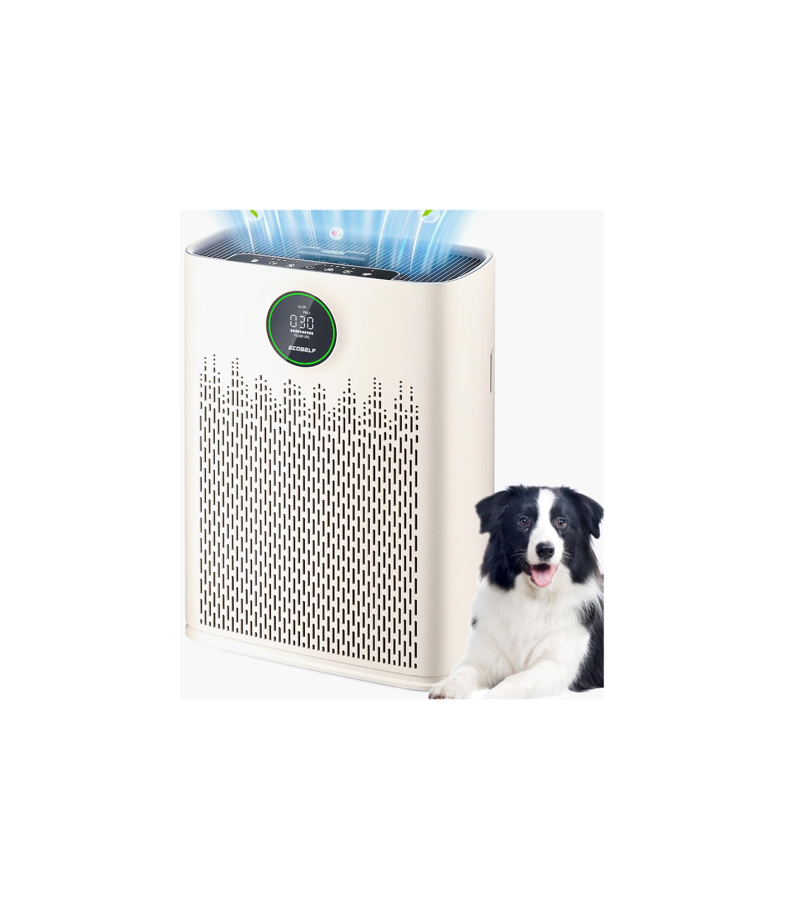 Exact Amazon catalog image [usp-exact-catalog-hero:c5a2b829c944f12722f2a5f1a72898e8adbb0b53f09c1dc73f364cc421ccdaed]